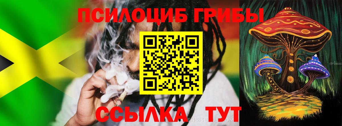 Псилоцибиновые грибы мухоморы  сколько стоит  Пушкино  Псилоцибиновые грибы мицелий  Вход с VPN 